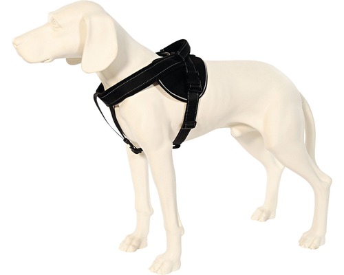 Jockeytuig met geïntegreerde lange lijn, maat M (58-76 cm), zwart