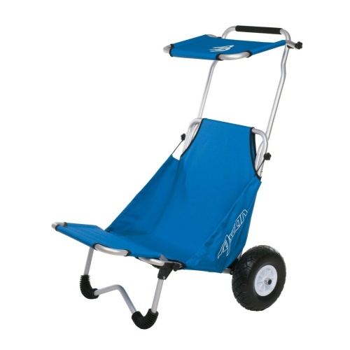 ASCAN Beachbuggy