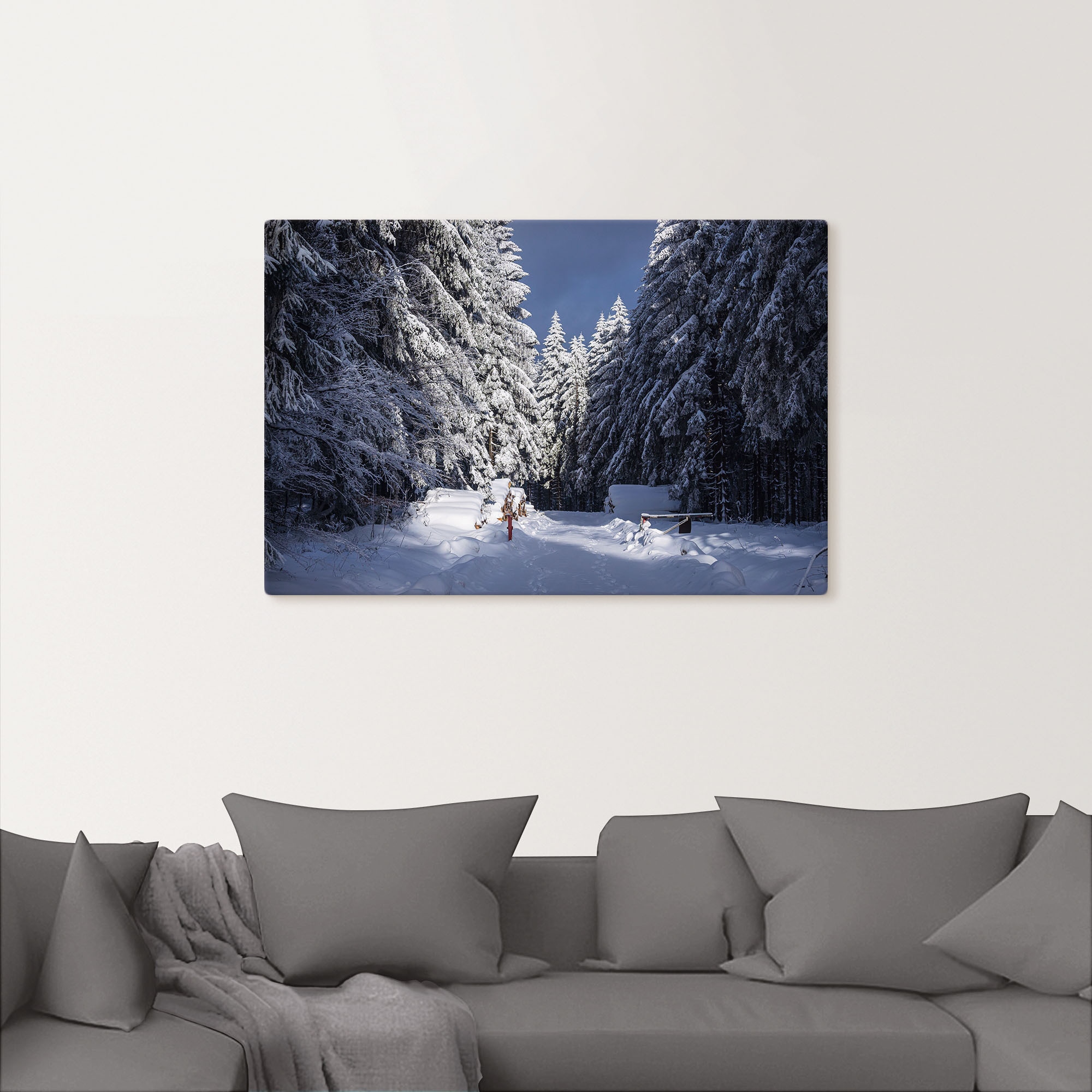 Artland Leinwandbild »Winter im Thüringer Wald II« Waldbilder 1 Stk. tlg. auf Keilrahmen gespannt