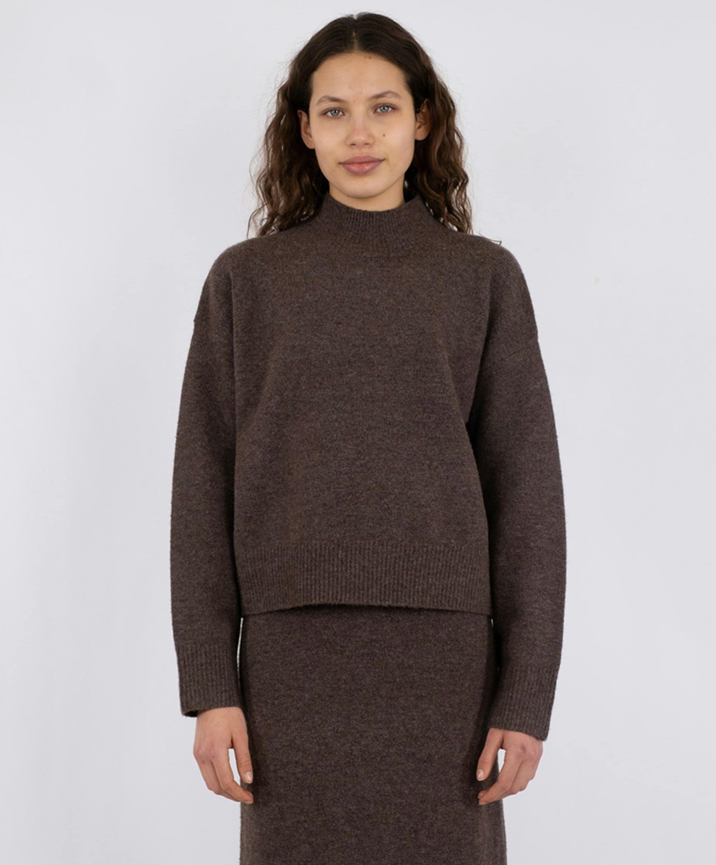 Neo Noir Dames trui bruin