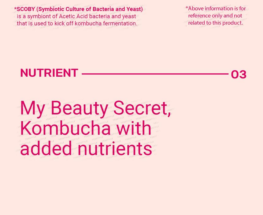 BOTO - Beauty Secret Kombucha Perzik IJsthee