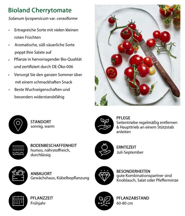 Bioland Gemüseset Gemüsetraum, 6-teilig