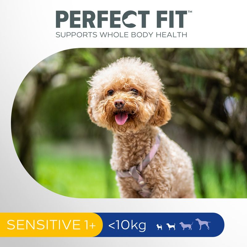 Perfect Fit Sensitive Adult (<10kg) dinde