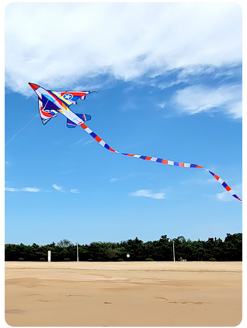 (4.8m) Flug Drachen Herbst Spielzeug Outdoor Flugzeug Flugspielzeug mit Streifenschwanz - Bunt