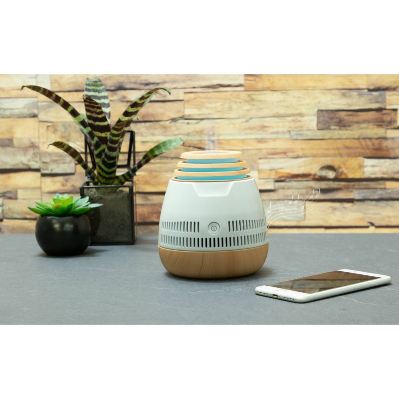 Enceinte et diffuseur d'huiles essentielles