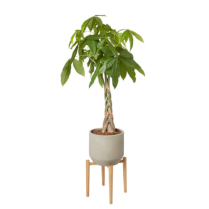 Pot de fleurs en argile cloche béton ø24 cm
