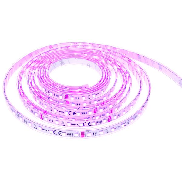 Botex LED Stripe RGBWW IP 5m