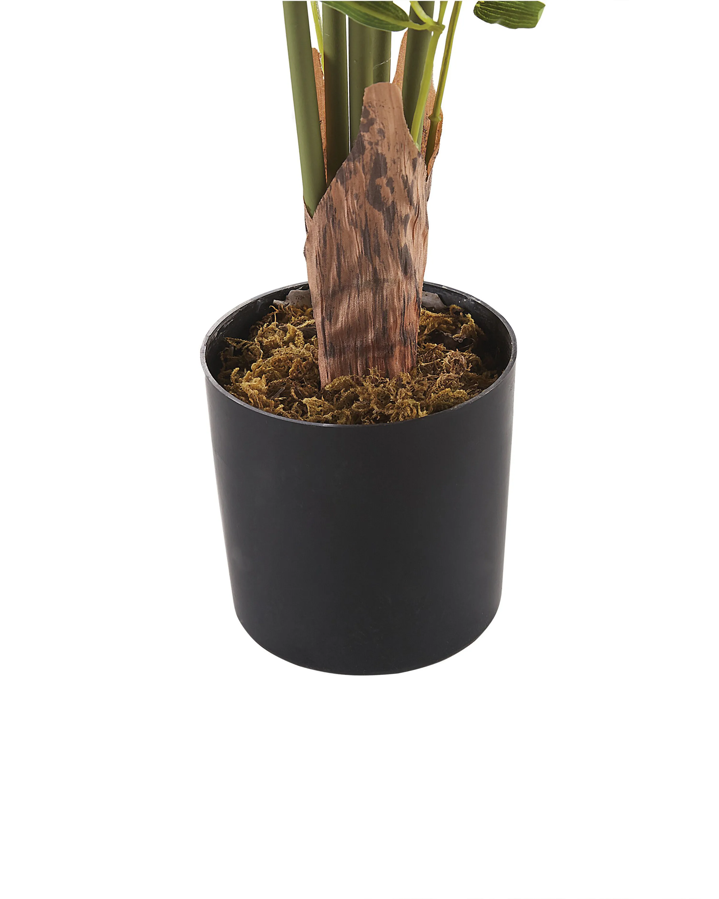 Kunstplant BAMBUSA VULGARIS 100 cm Groen