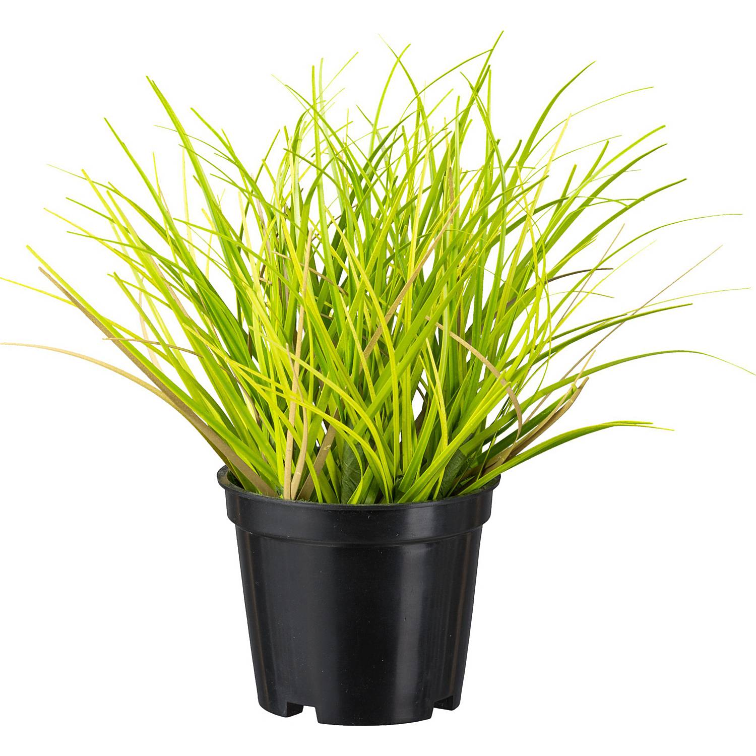 Kunstpflanze Gras im 2er-Set