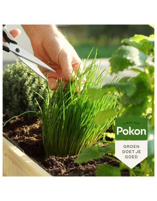 Pokon Bio Kruidenmest - Meststoffen - 1 kg
