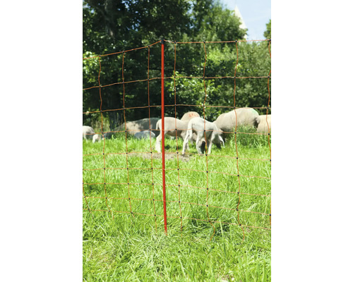 Ovi Net 50 m 90 cm dubbele spike oranje