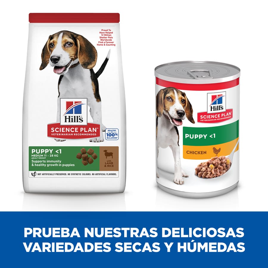 Ração Hill's Science Plan para Cães Filhotes de Porte Médio com Cordeiro e Arroz