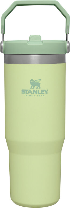 Stanley IceFlow Flip Straw Tumbler 0. 89L