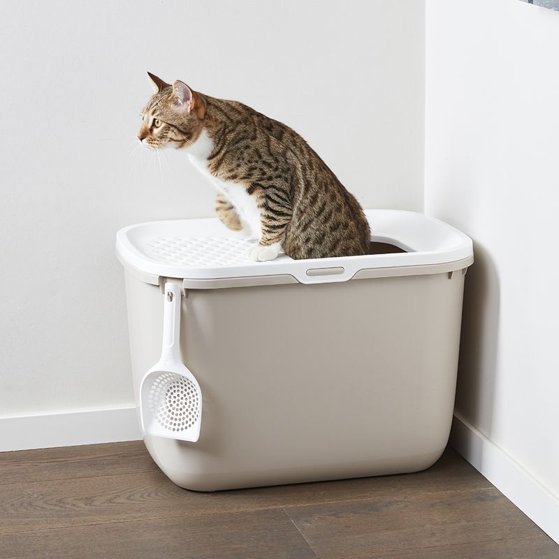 Maison de toilette Savic Hop In