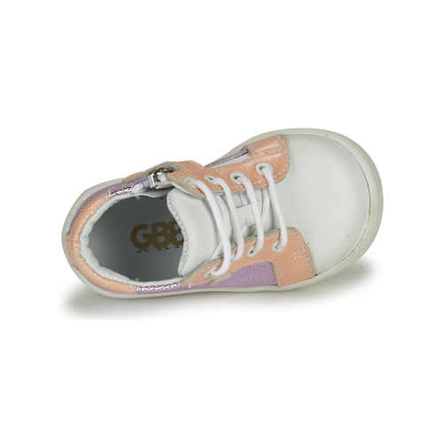GBB - FAMIA - Rose