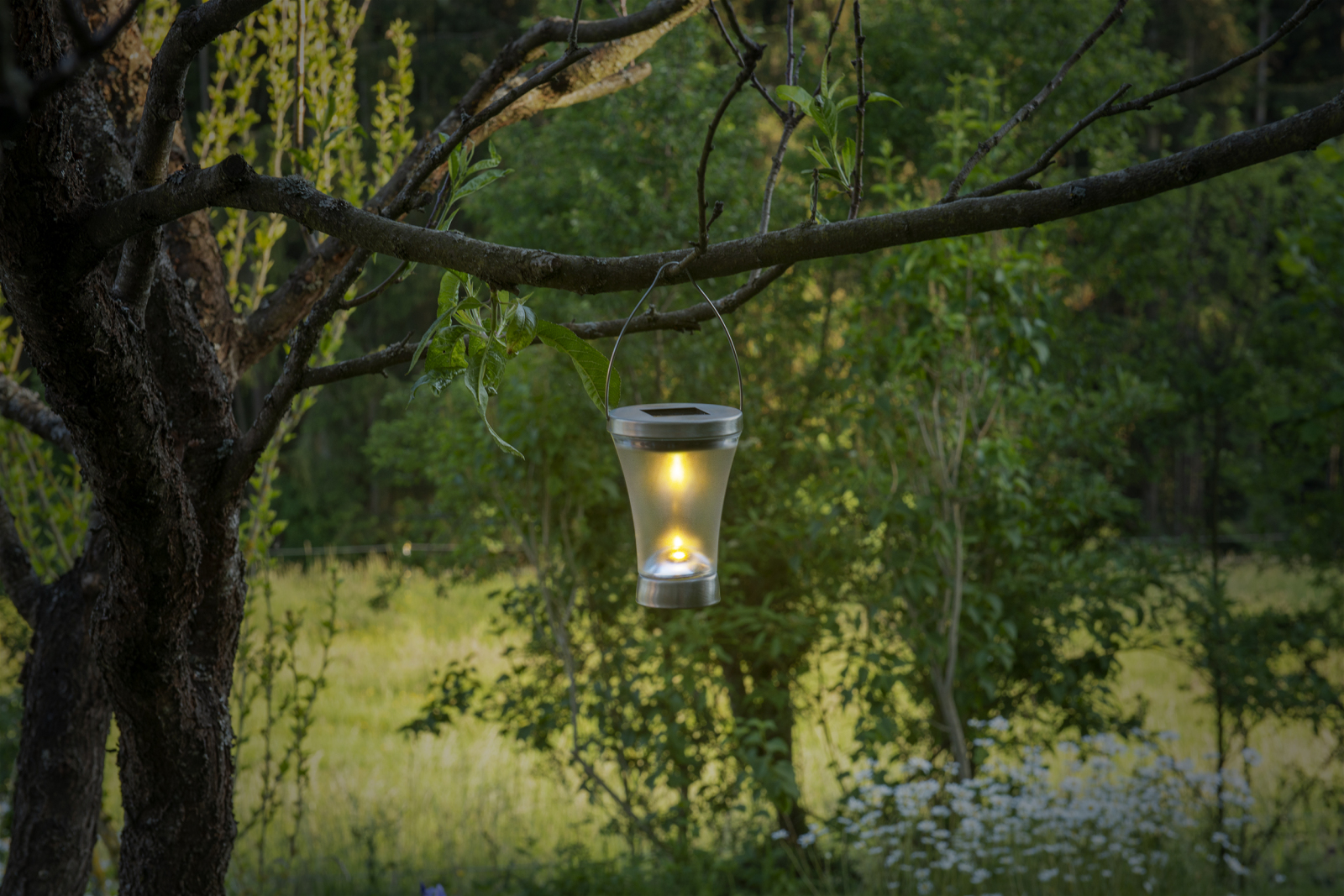 8er-Set LED-Solarleuchten - stahl-blank - 39,5 cm