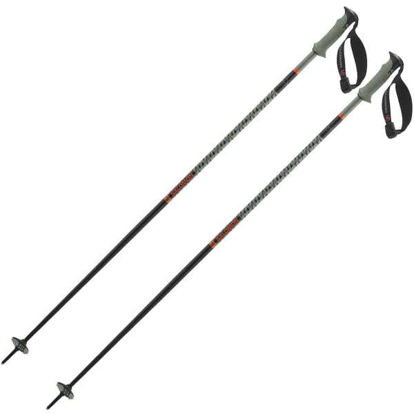 Bâton de ski SALOMON POLAR PRO S3 OIL GREEN