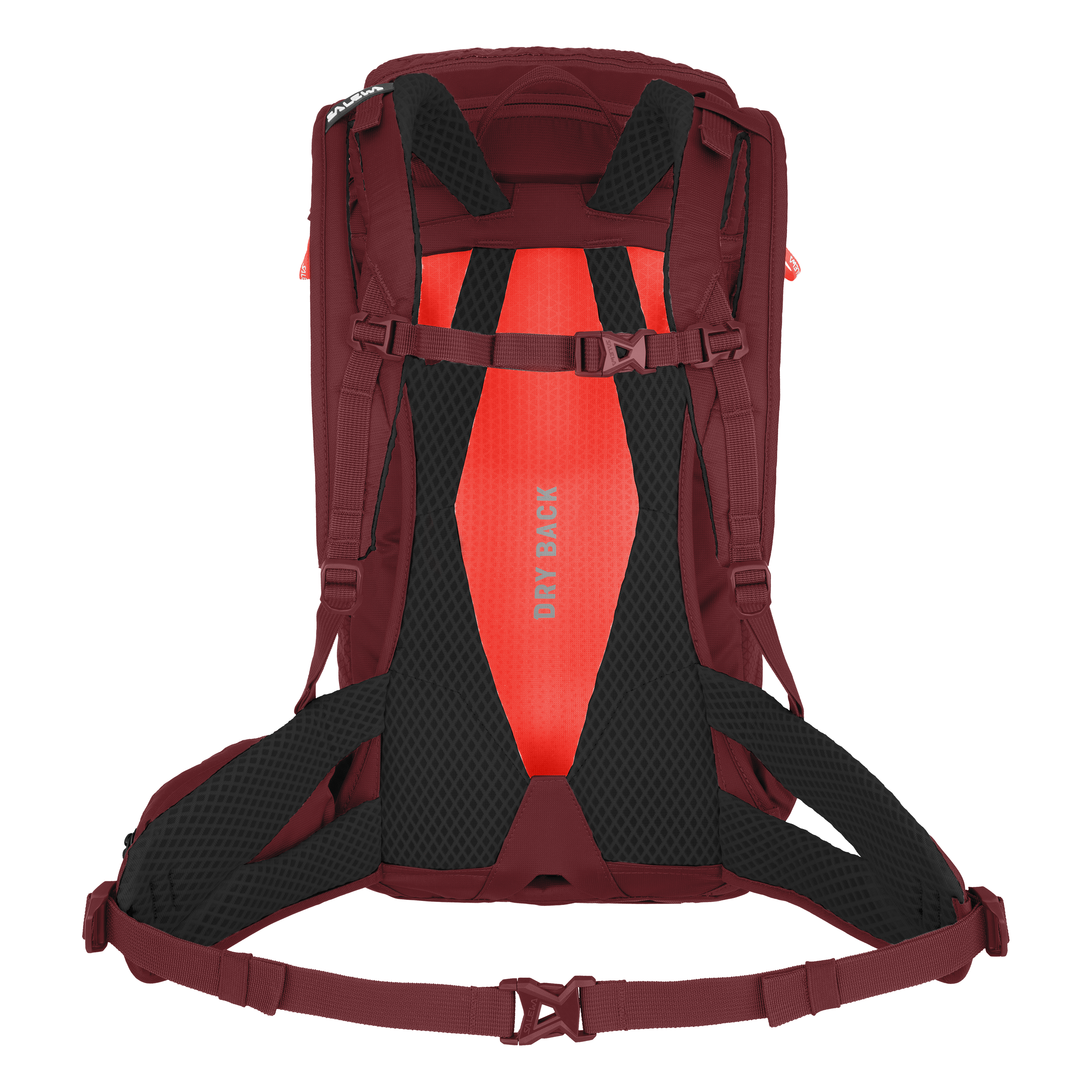 Alp Trainer 20L Rucksack Damen