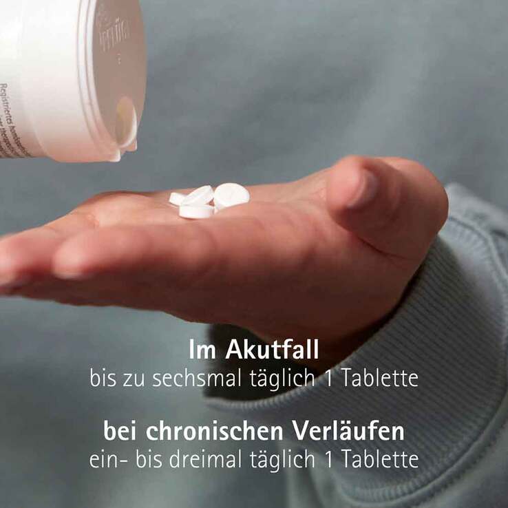Biochemie Pflüger 3 Ferrum phosphoricum D 12 Tabletten, 100 St