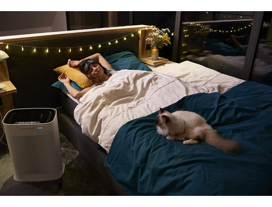 ROWENTA - Purificateur d'air Pure Air PU3040F0