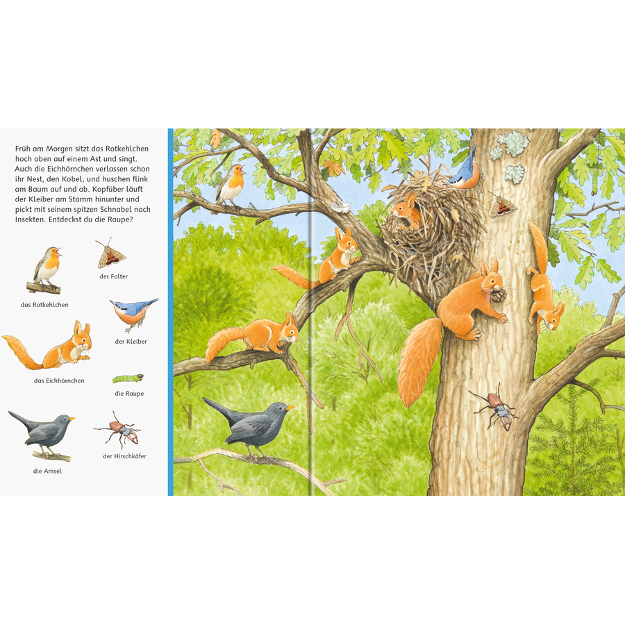Ravensburger Sachen suchen: Tiere im Wald