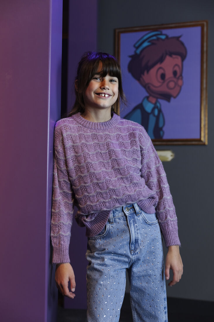 AMMEHOELA paarse ammehoela trui am.jumper.19