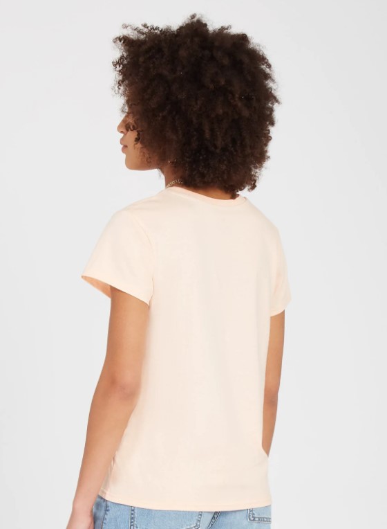 Volcom Stone Blanks Tee Melon