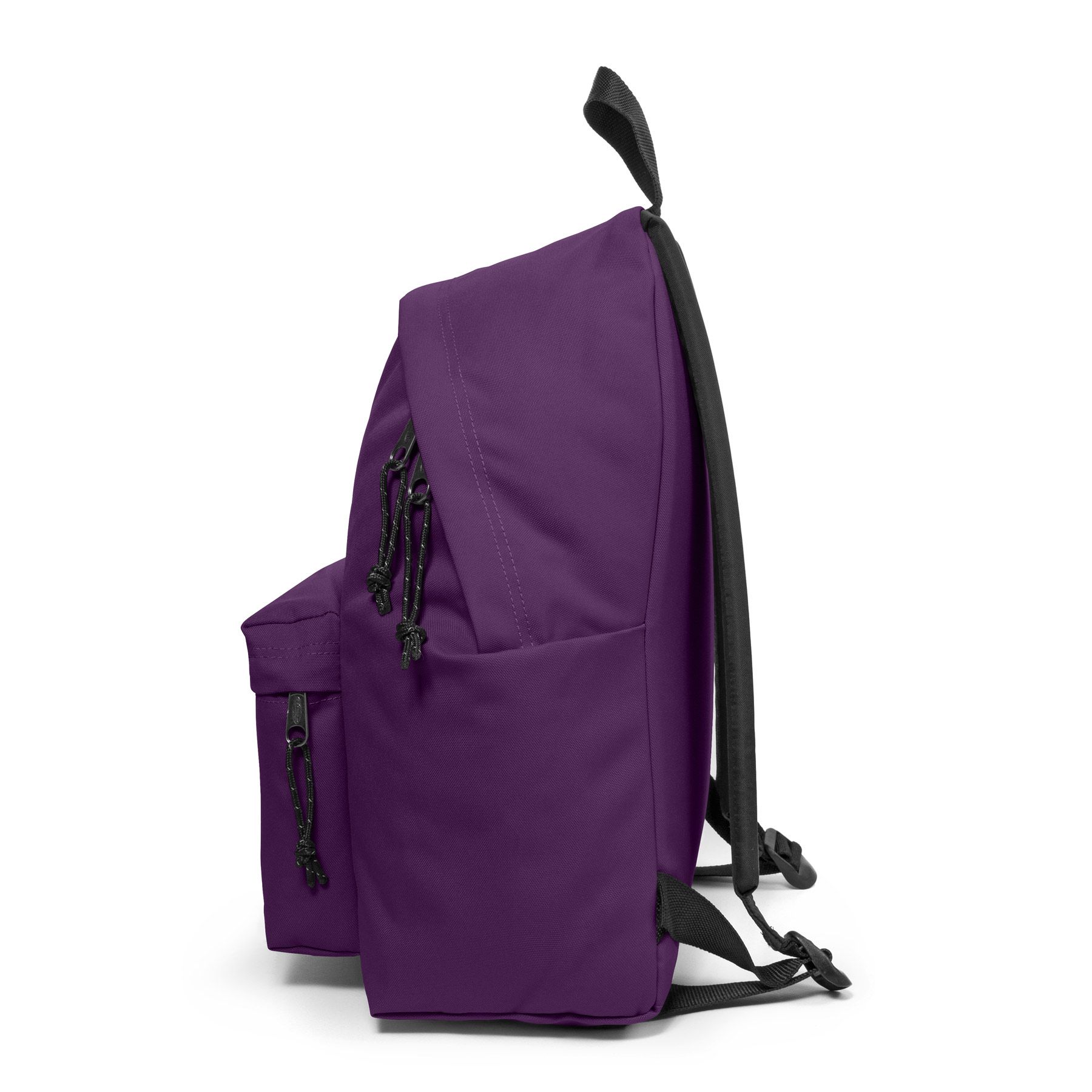 Padded Pak'r Eggplant Purple