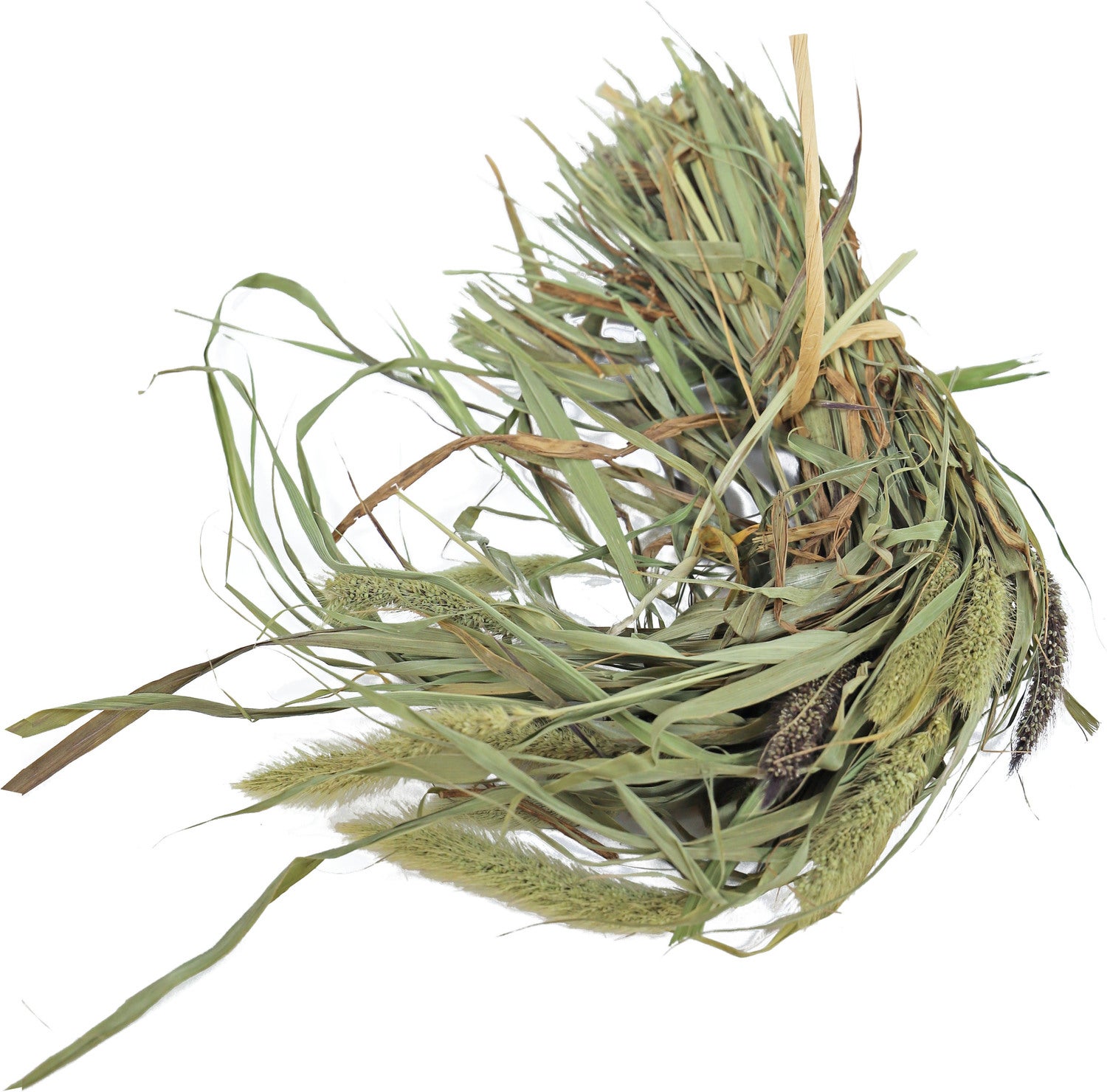 JR Farm Parkiet Senegal Gierst 50 g