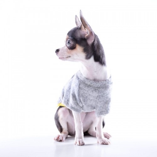 Camiseta Nun Home para cães, cinza