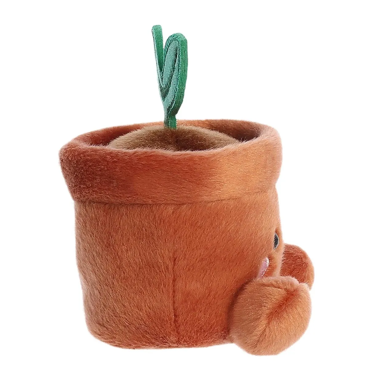 Aurora Plante en Pot
