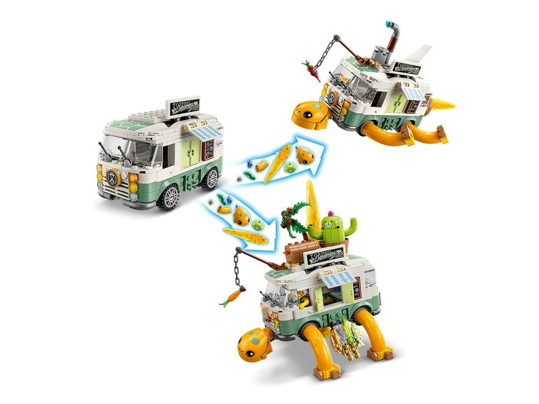 Mevrouw Castillo's schildpadbusje - 71456