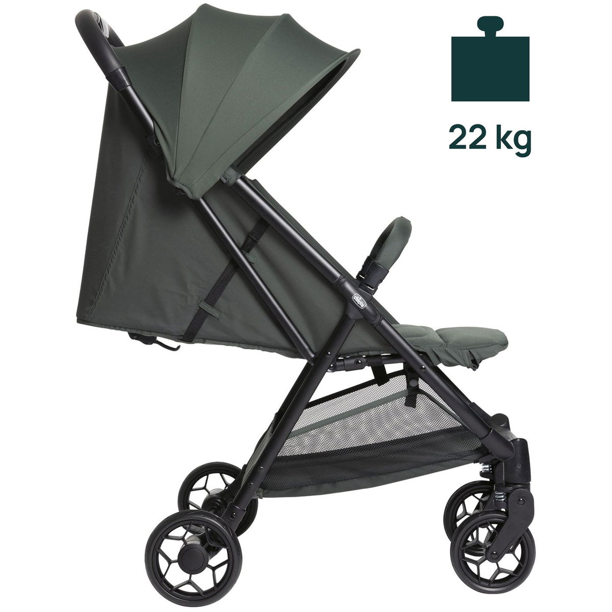 ChiccoChicco   Urbino evergreen