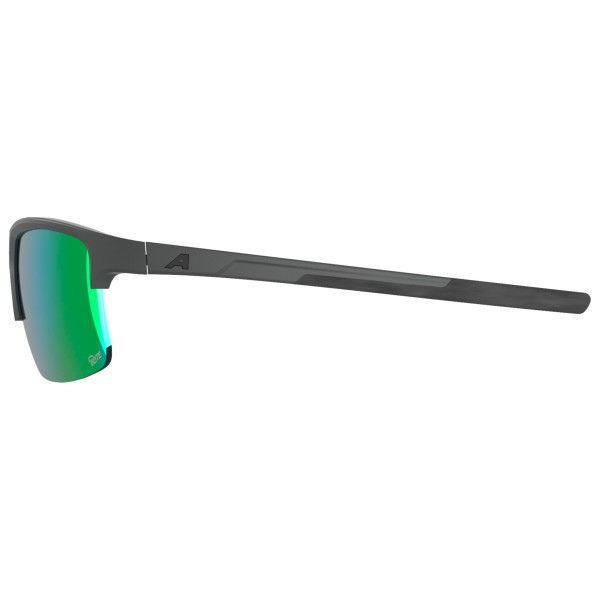 Alpina - Eagle Q-Lite S2 - Lunettes de soleil