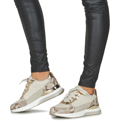 Aldo - COSMICSTEP - Gris