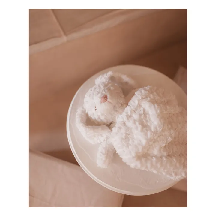Mrs.Ertha Peluche Lapin Mrs Pookie