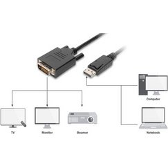 Câble adaptateur DisplayPort, DP sur DVI-D (24+1),3m