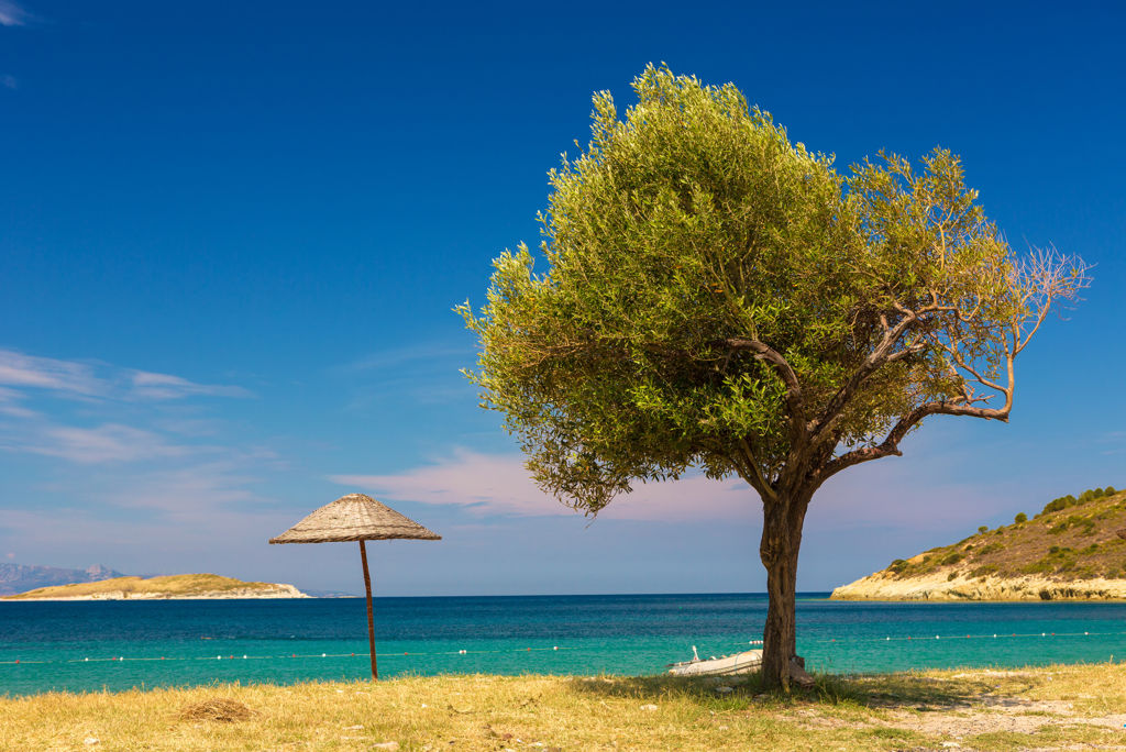 Bingo Kusadasi 5* Ultra All Inclusive - Hotel