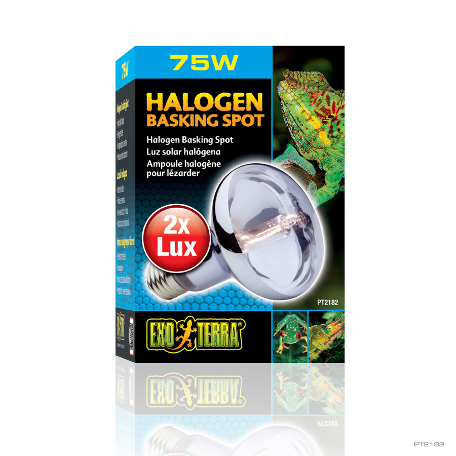 Lâmpada halógena Exo Terra para répteis, 25W, com ponto de aquecimento.