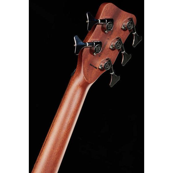 Warwick Alien Deluxe 5 Hybrid Thinline