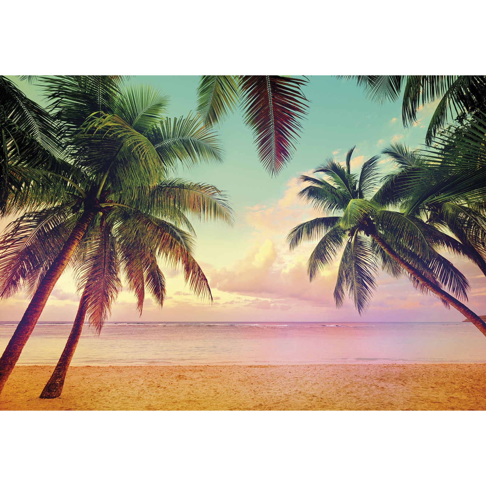 Papier-Fototapete MIAMI - bunt - 368x254 cm