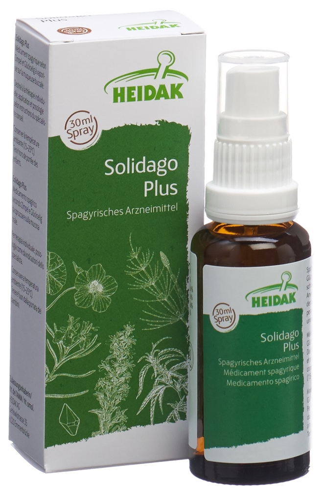 HEIDAK Solidago plus Spray Fl 30 ml