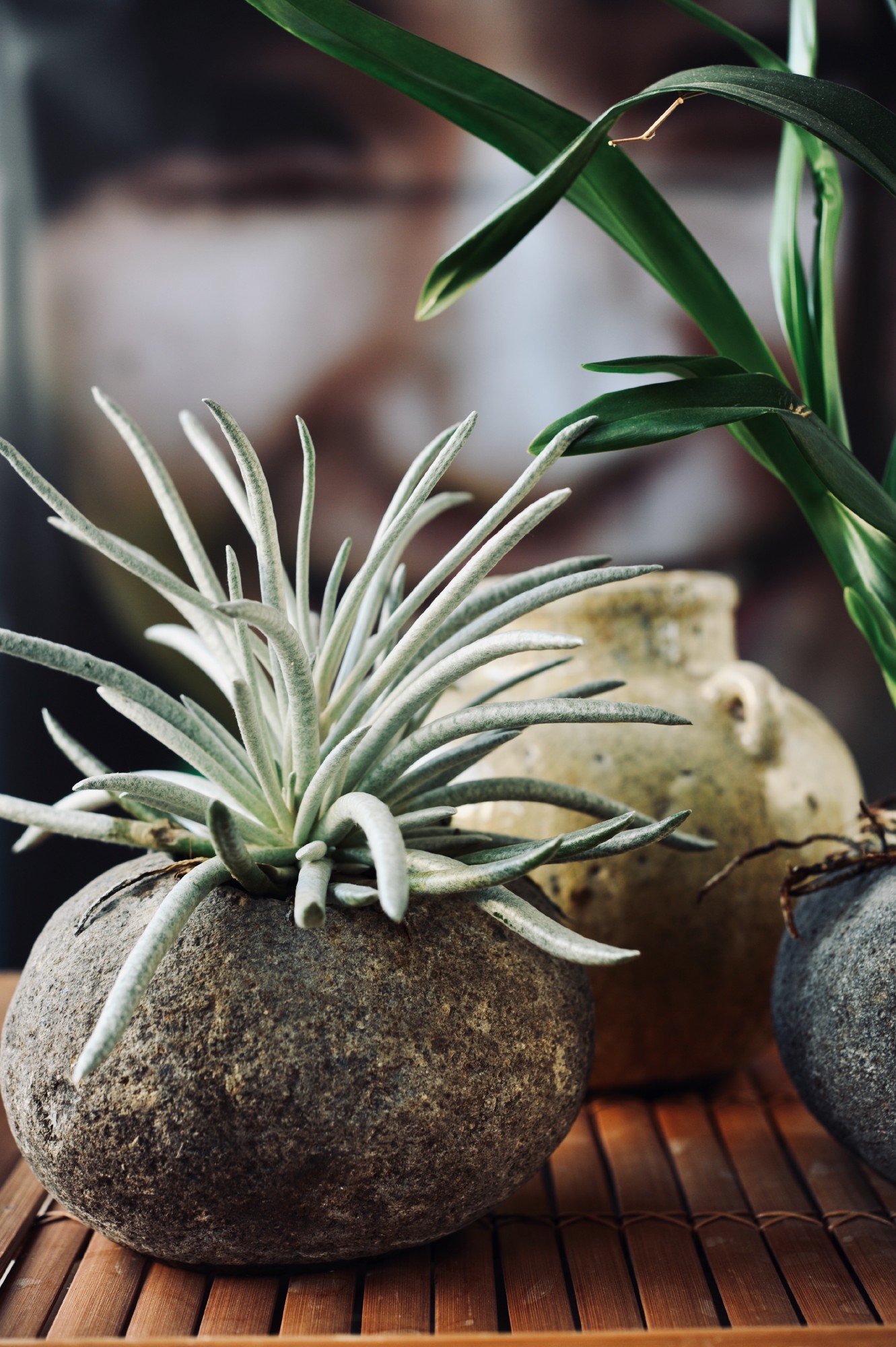 Blumenkübel aus Naturstein, natur, Ø 17 cm, H 12 cm günstig bestellen