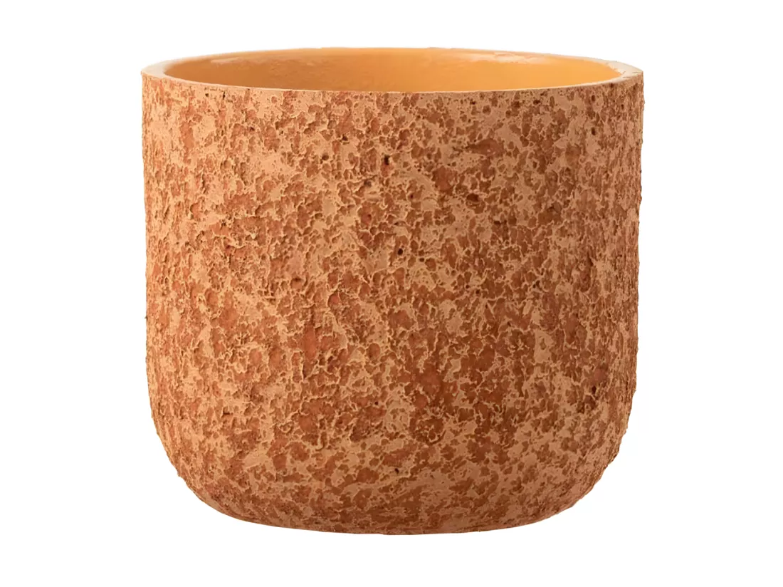 Cache-Pot Design 