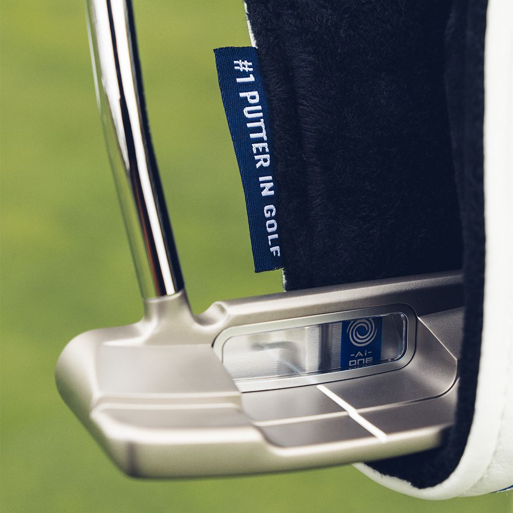 Ai-ONE Double Wide DB Silver Putter