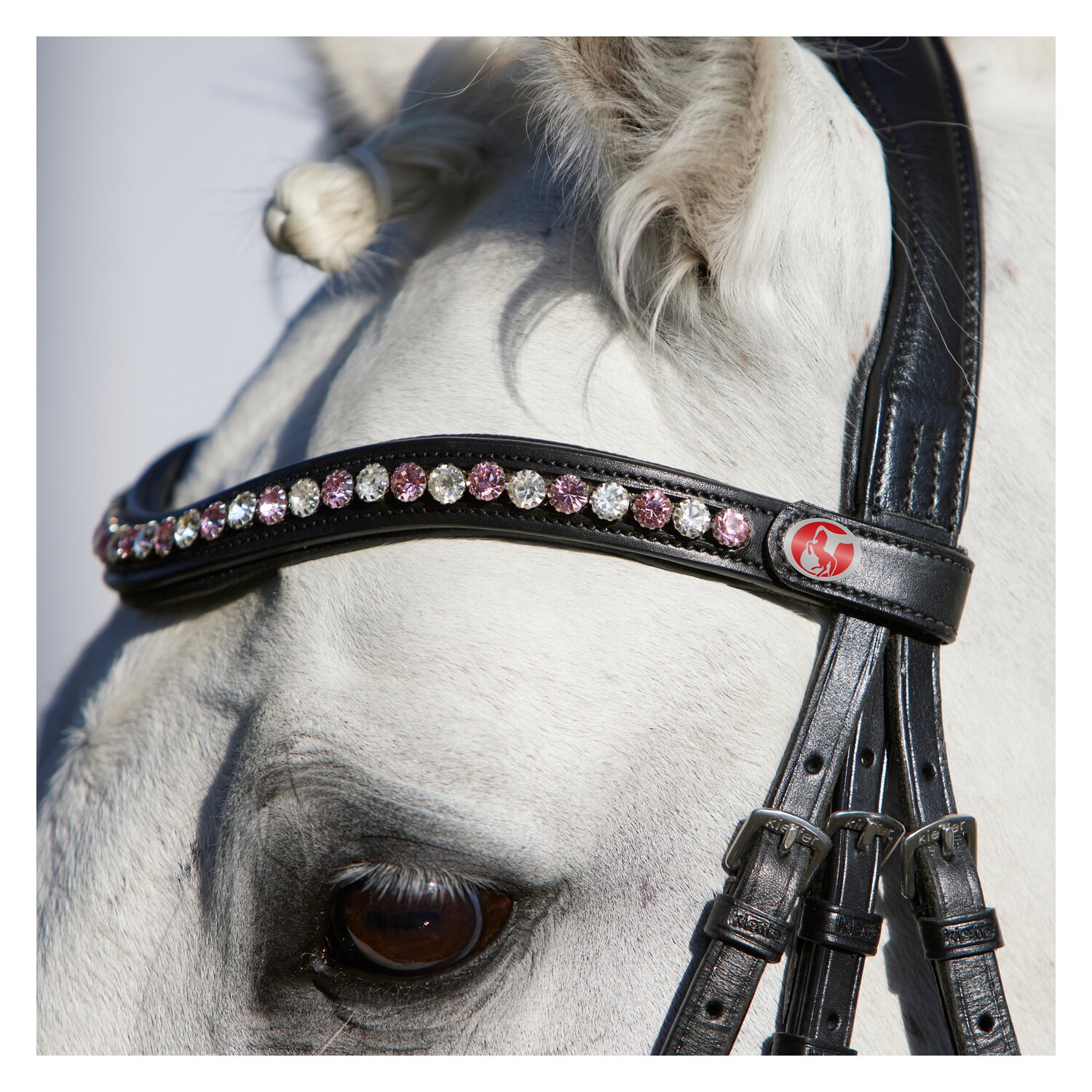 kieffer Stirnband FlexiLoop 8 mm  - rosé - Warmblut