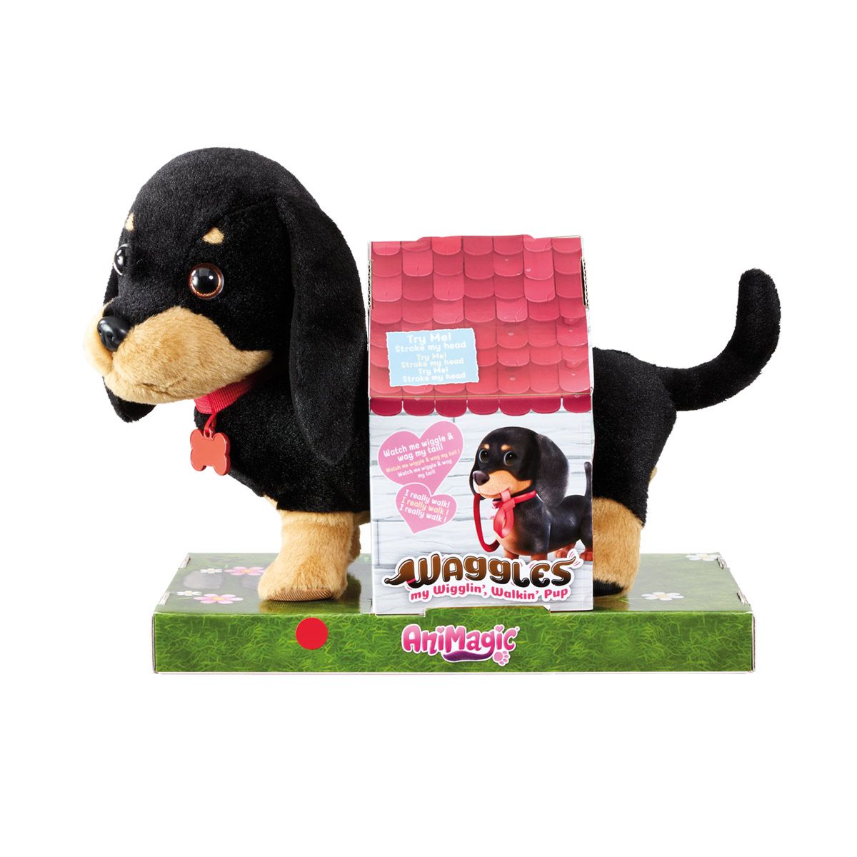 Waggles en balade
