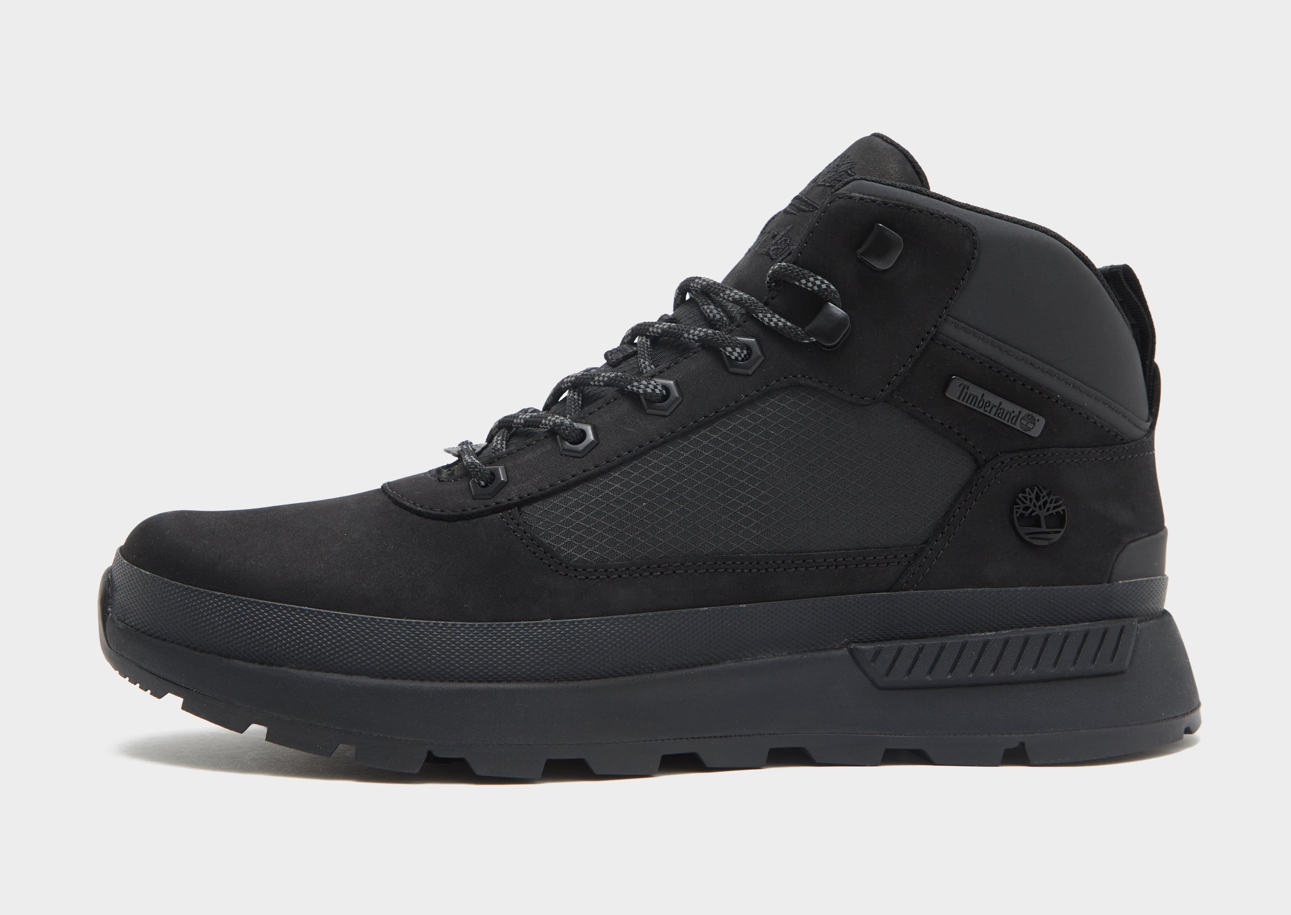 Timberland Field Trekker Homme