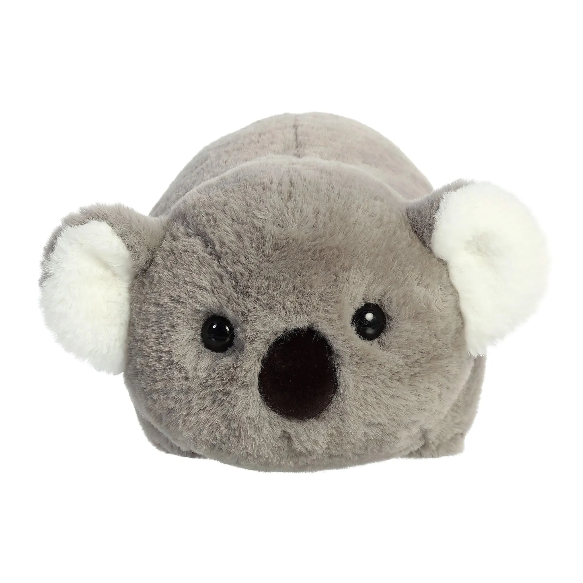 Aurora Koala Kira 10''