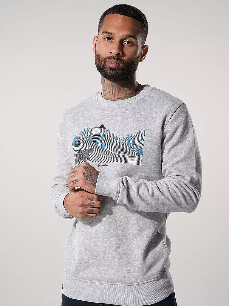 GREENBOMB Sweater WILD ANIMAL BEARLAND grau
